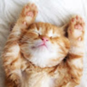 Meet your Posher, Tessa